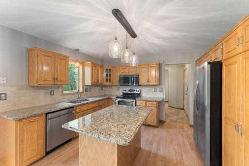12366 Buckthorn Trail, Rogers, MN 55374