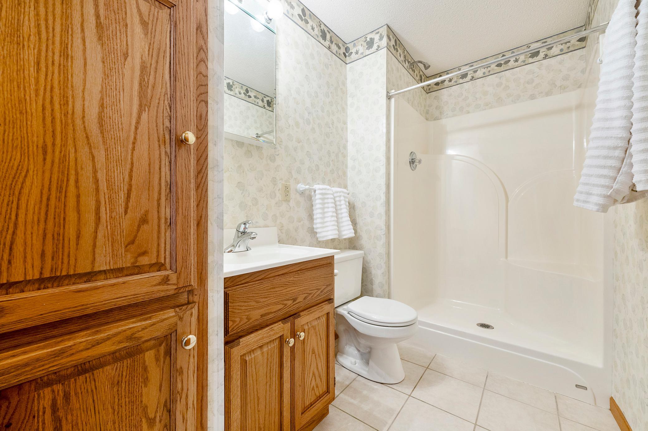 Lower level bathroom