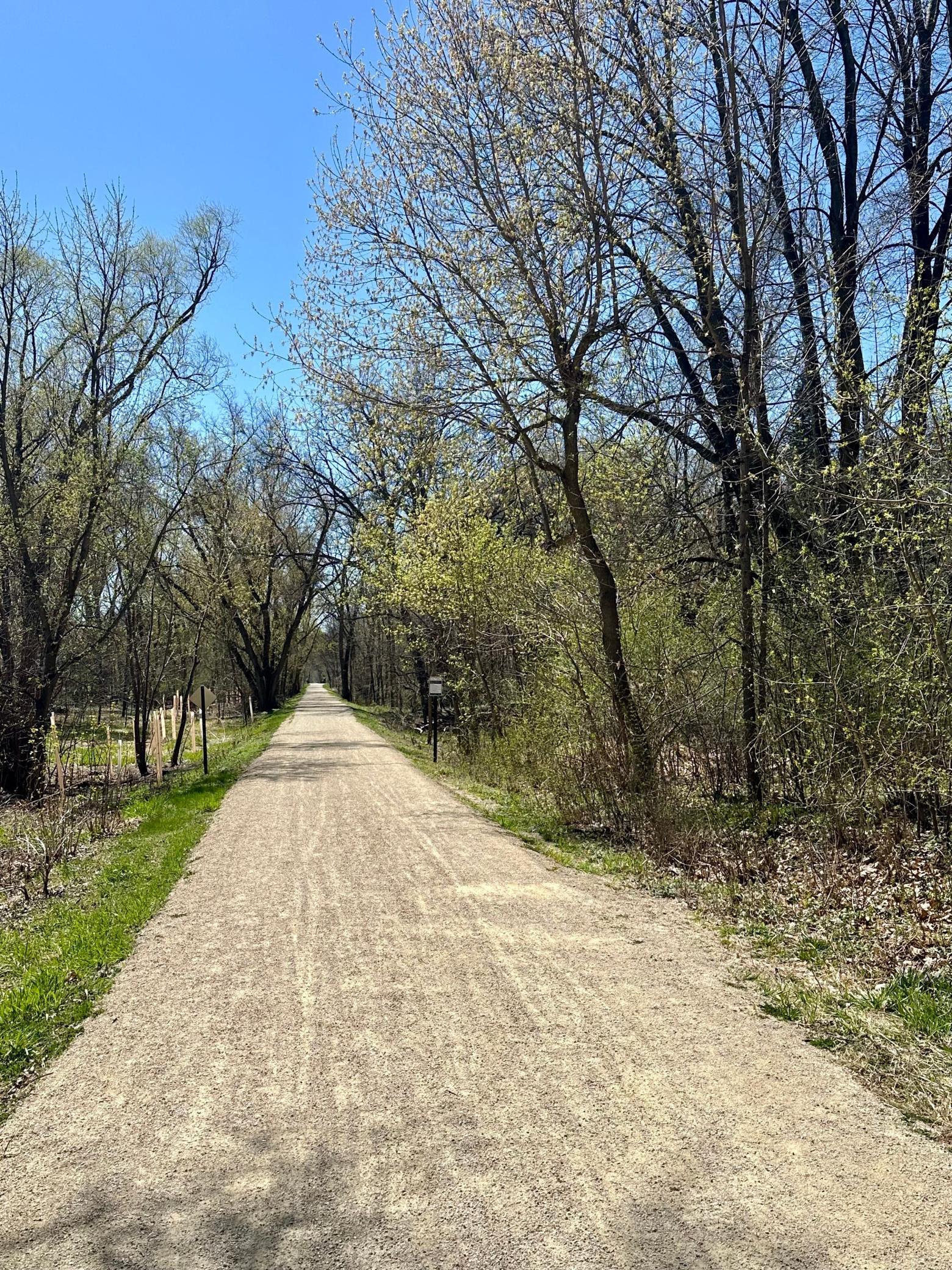 Miles and miles of tree lined trails.