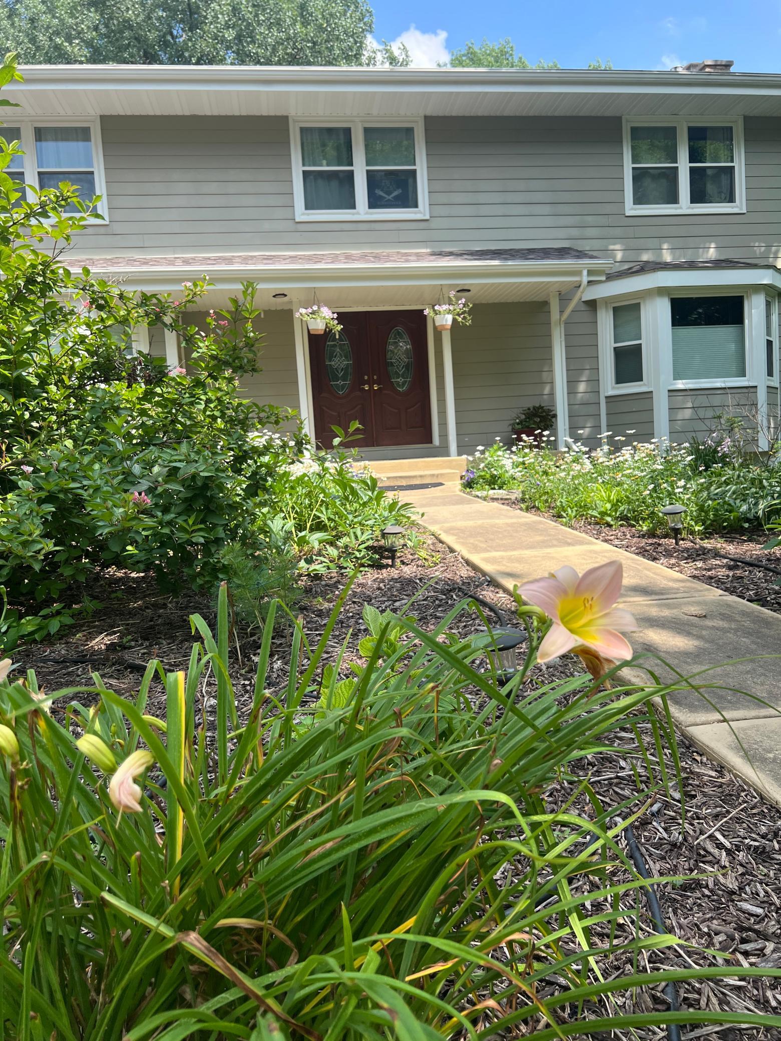 Front showing some of the flowers.
