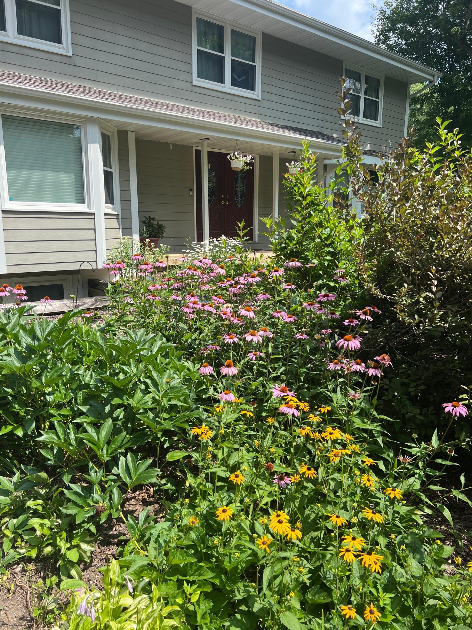 You will enjoy the color and the butterflies all summer long.