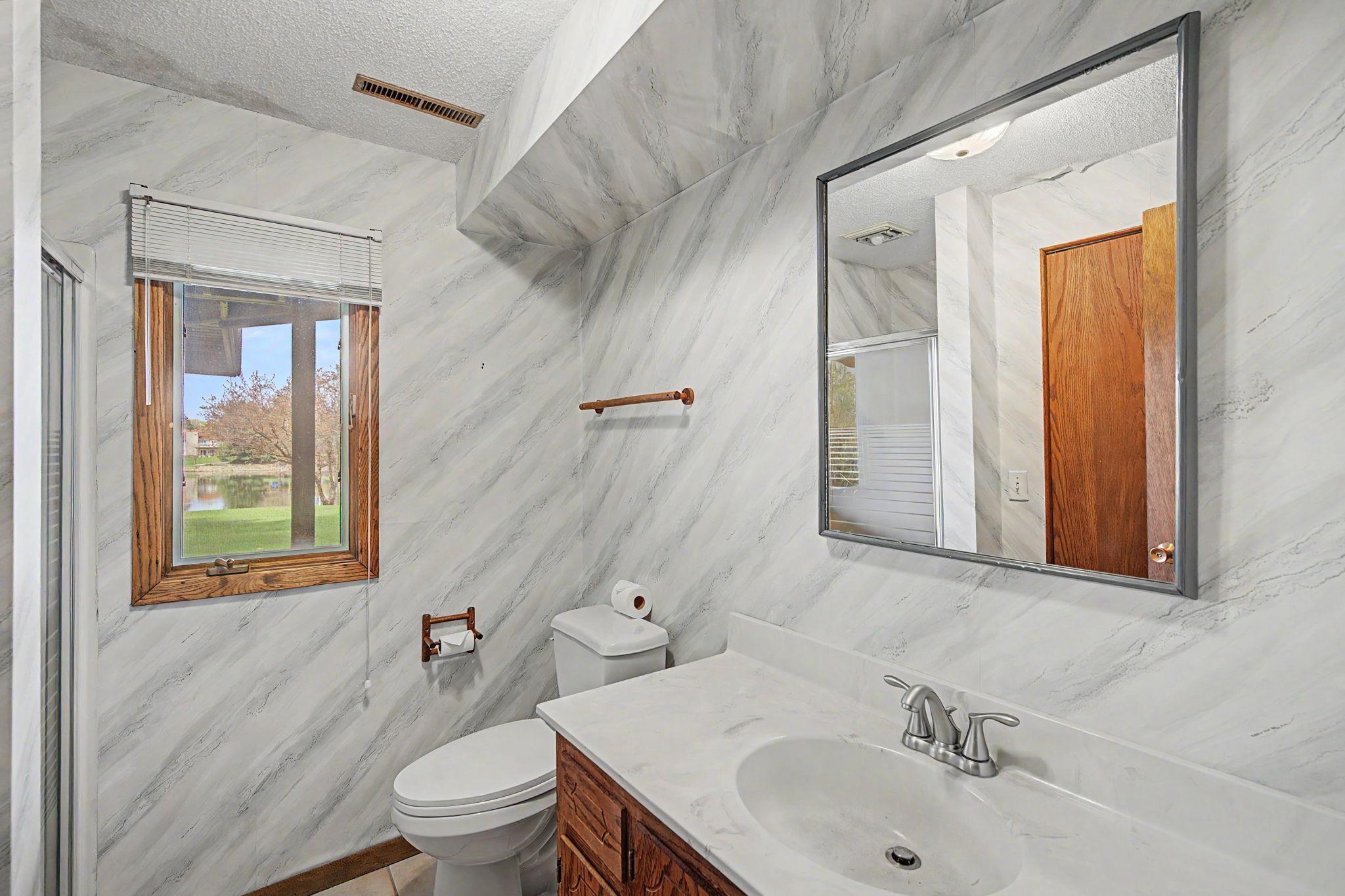 Lower level bathroom.