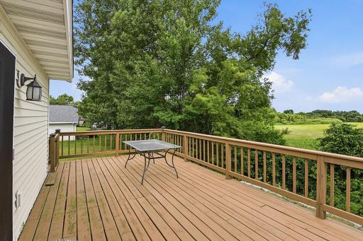 555 Willow Avenue, Eden Valley, MN 55329