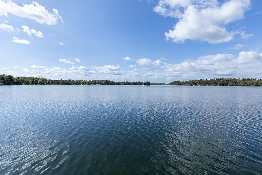 Peaceful Pine island lake