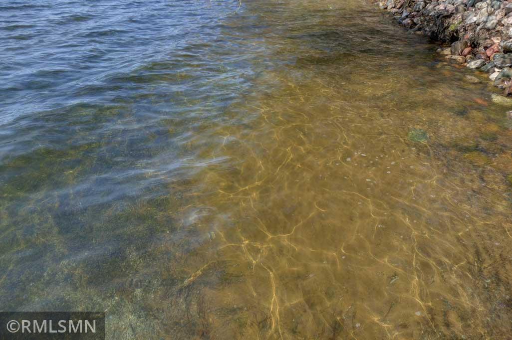 Sandy lake bottom near the shoreline is great for the little ones.