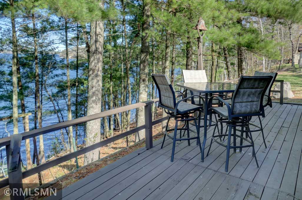 Listen to the eagles chirp as they soar above the pine trees.