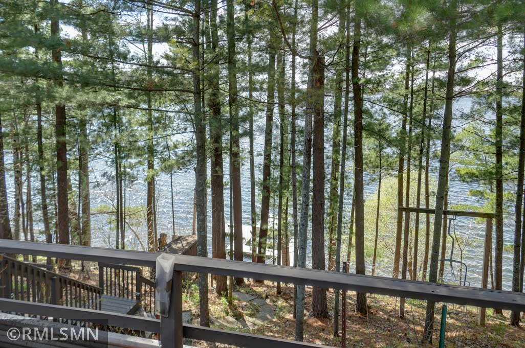 Towering pines on the lakeside.