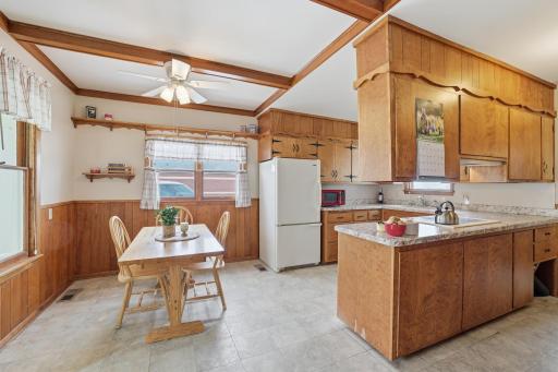 111 S Willow Street, Belle Plaine, MN 56011
