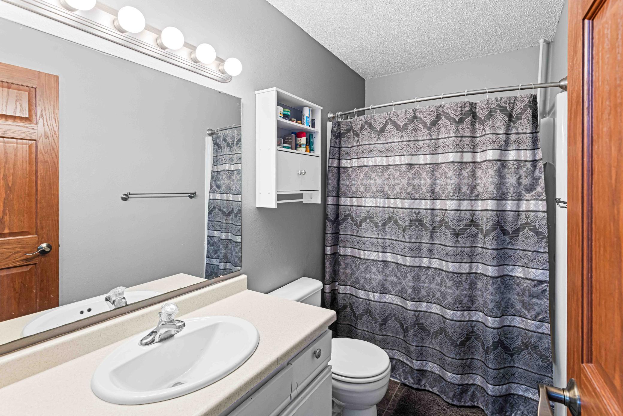 Lower level full bathroom