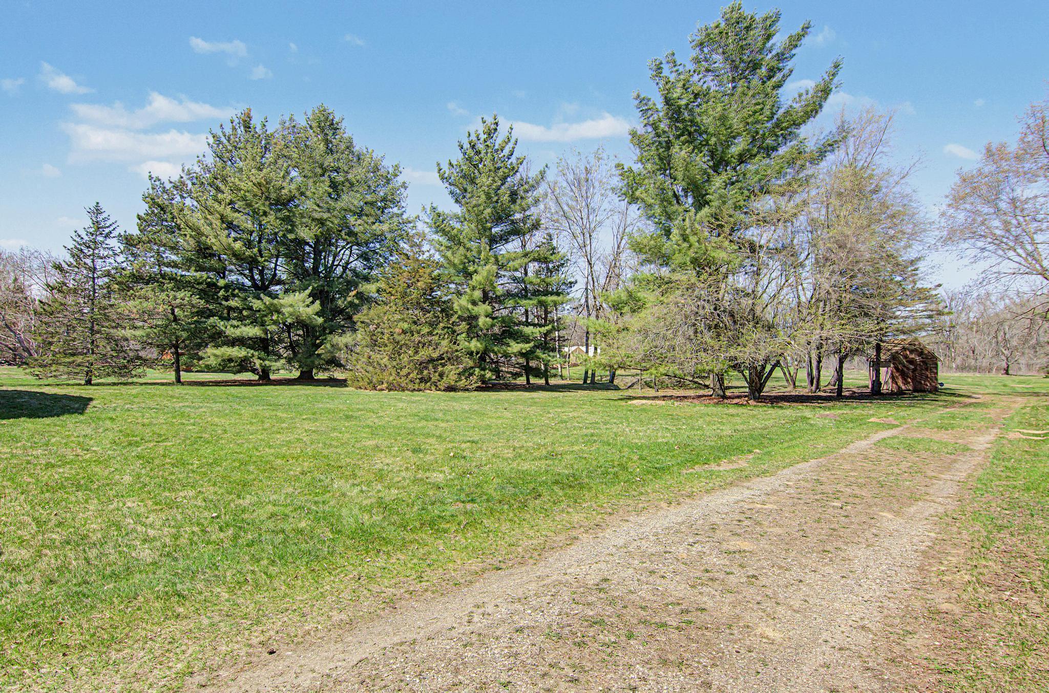 Back yard partial.jpg