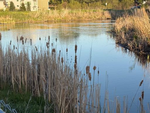 You will enjoy watchin nature in this home