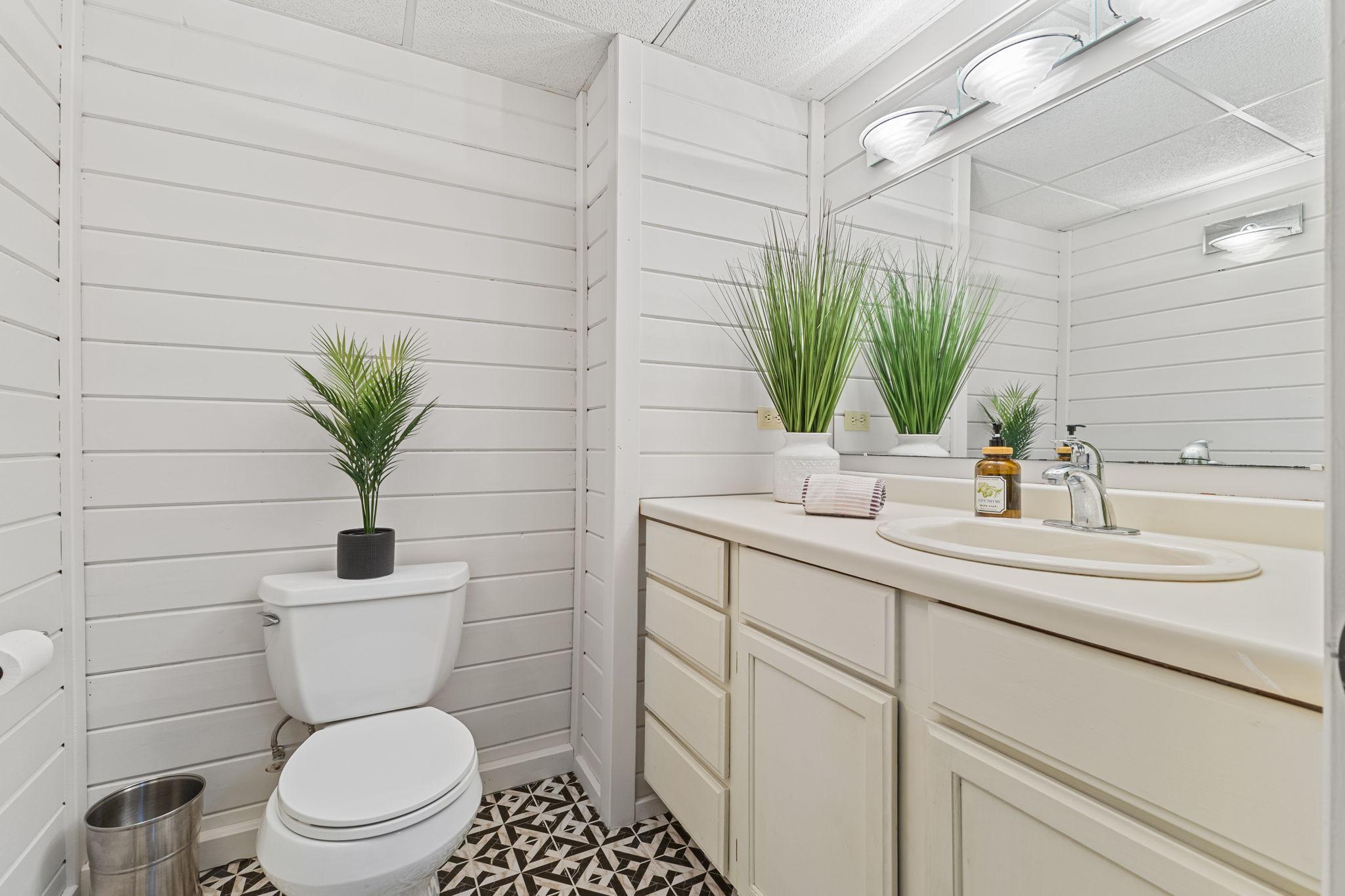 Lower level bathroom.