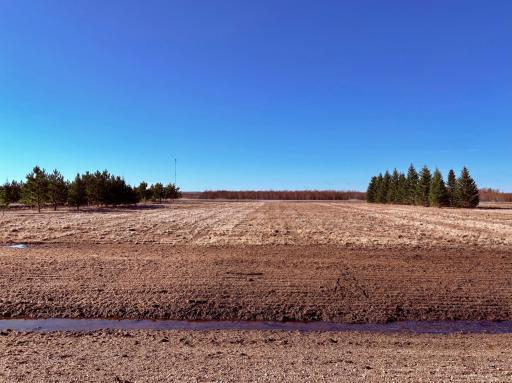 New ditches/drainage all along north side