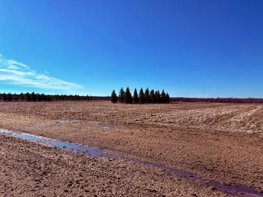 2 lots side by side available!