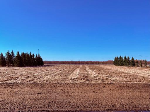 From Ship's Wheel Road facing south