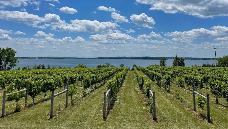 One of three local wineries