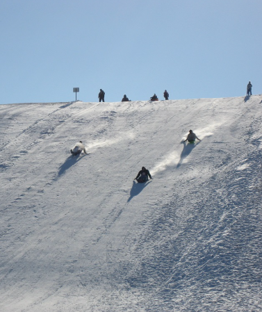 Mount Waconia sledding