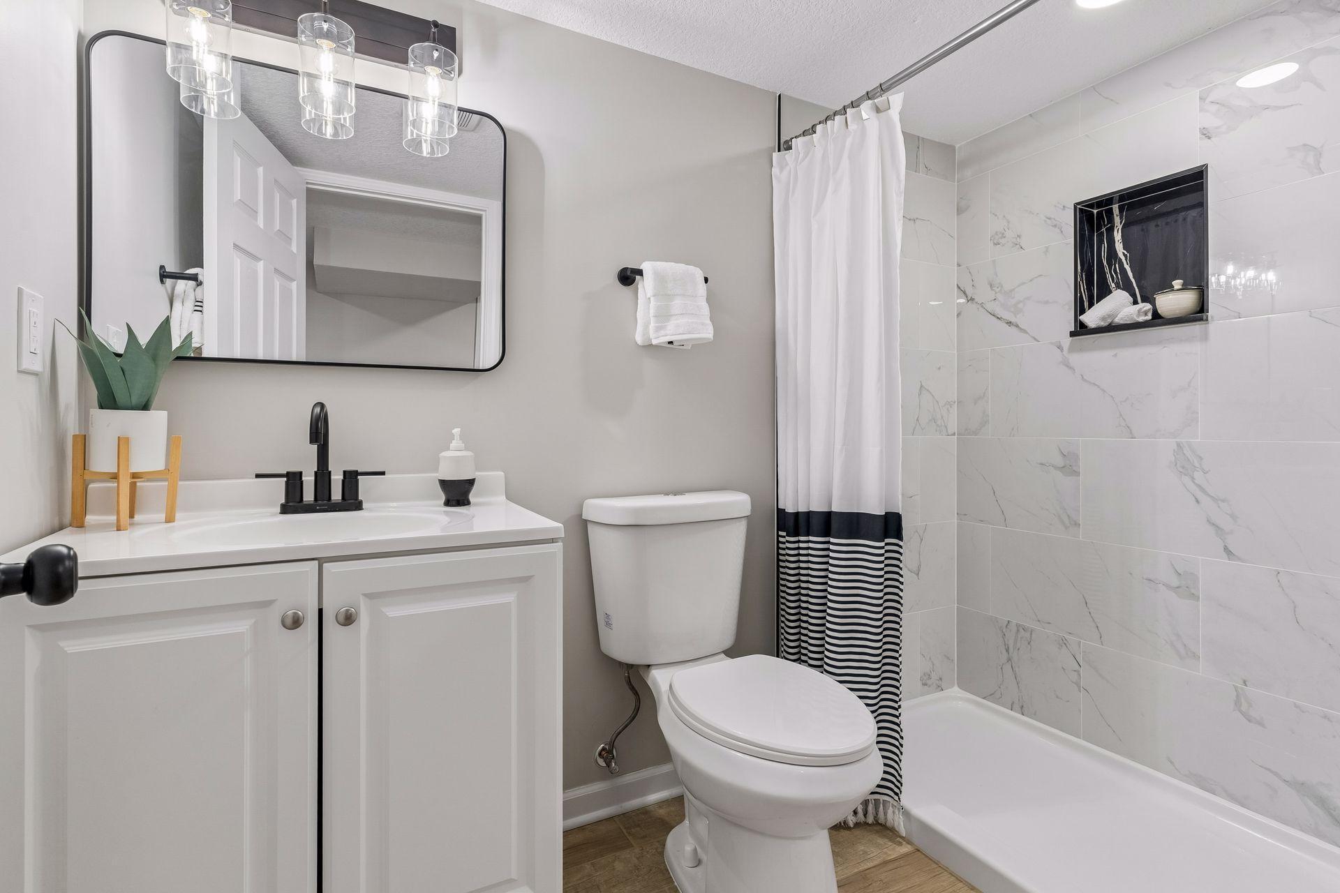 Lower Level Bathroom