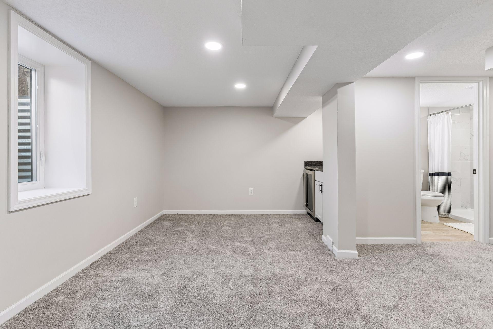 Lower Level Family Room