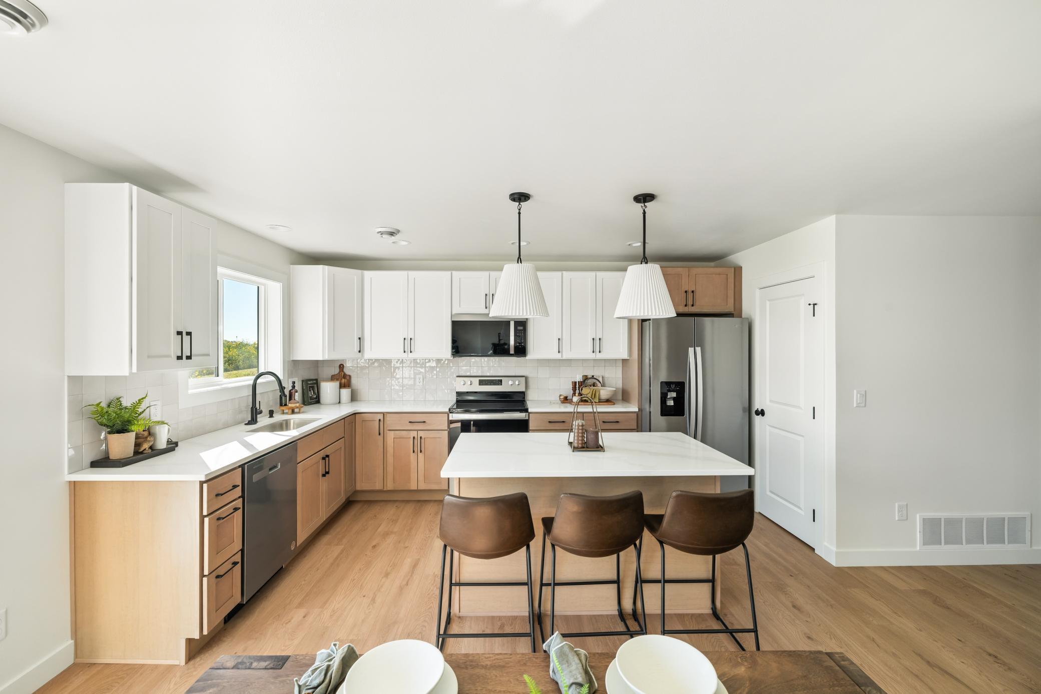 7 Previous model.jpg