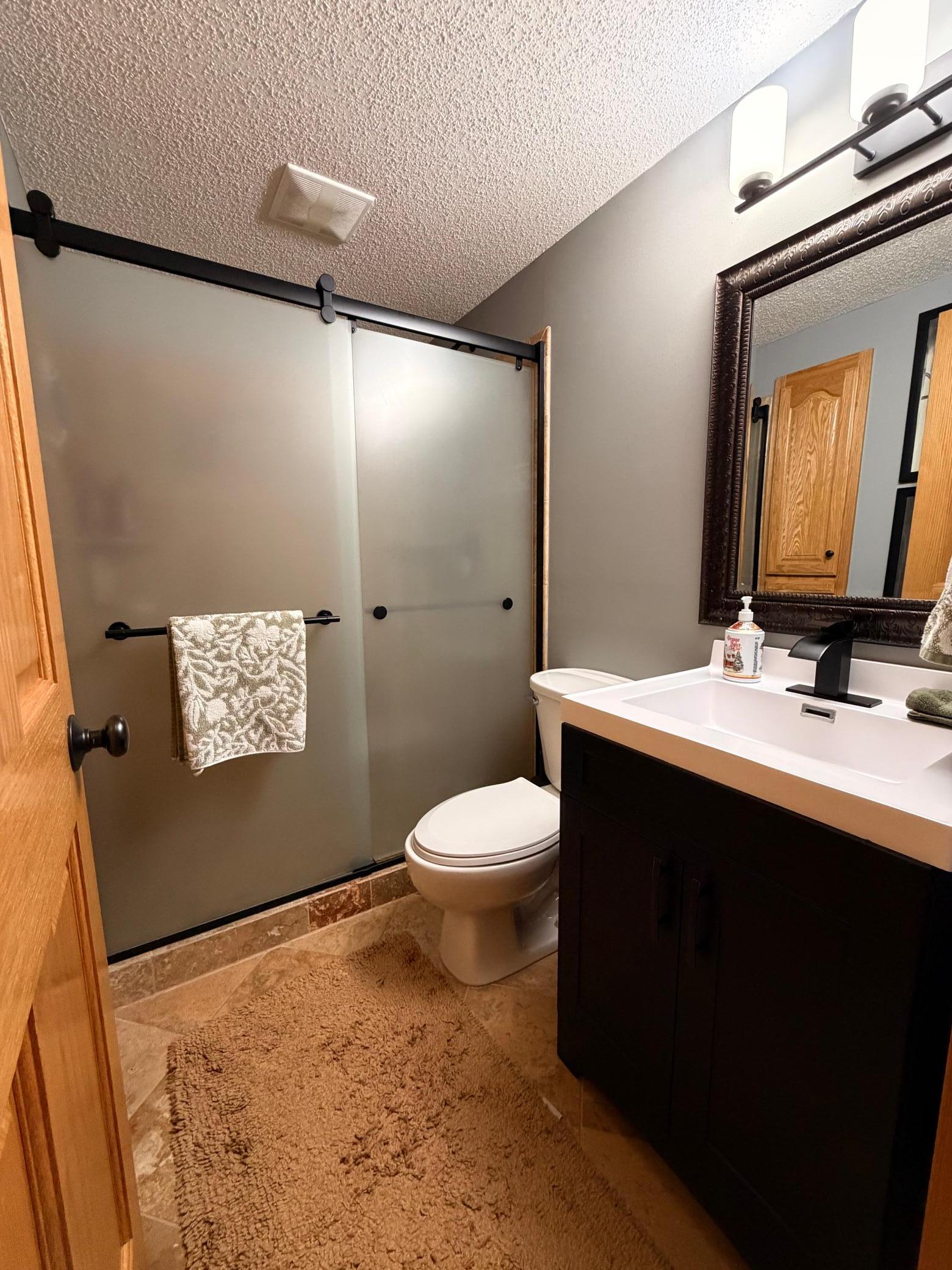 Lower Level Bathroom