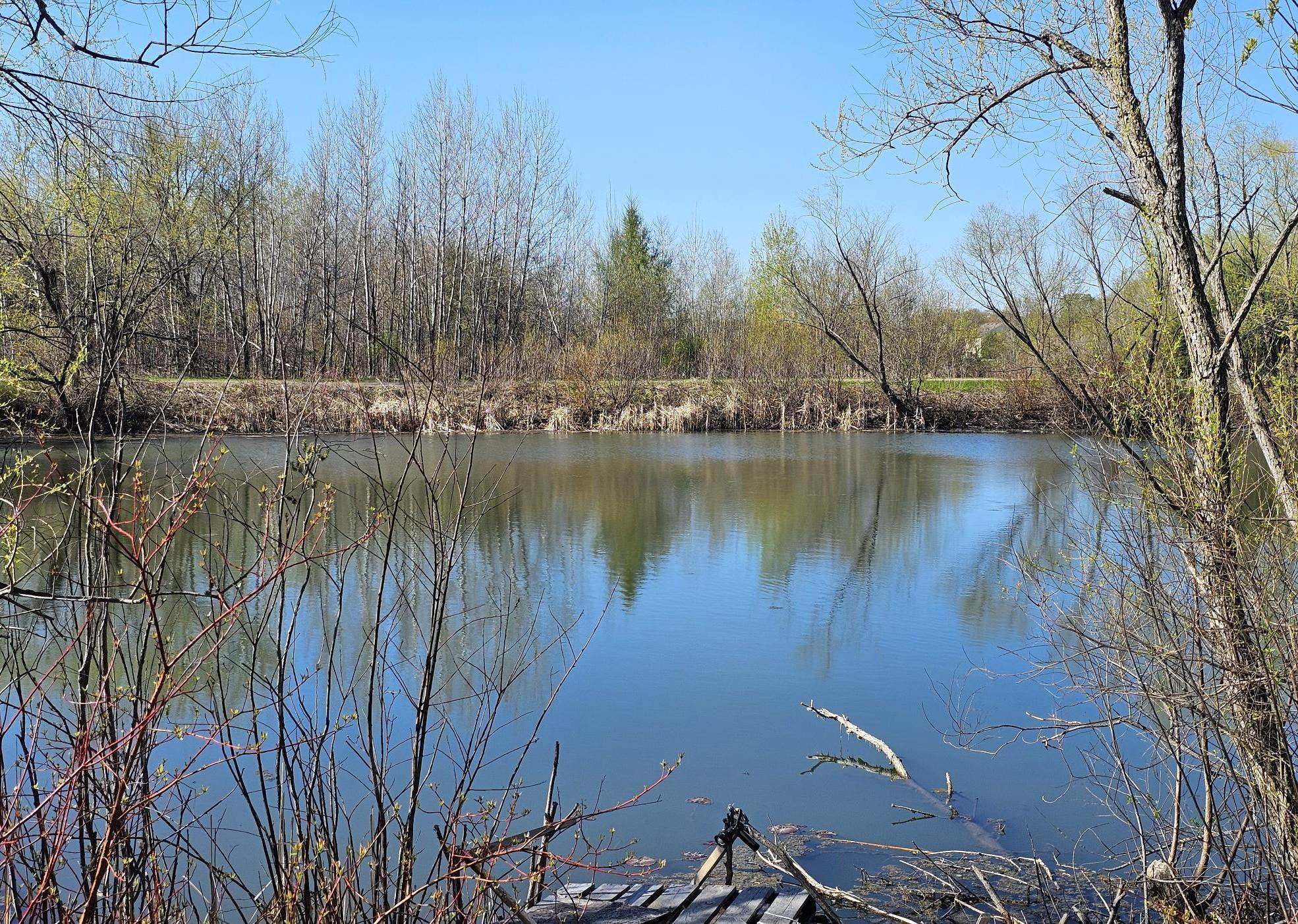 This exceptional property backs to a picturesque pond, delivering breathtaking views of water and wildlife.