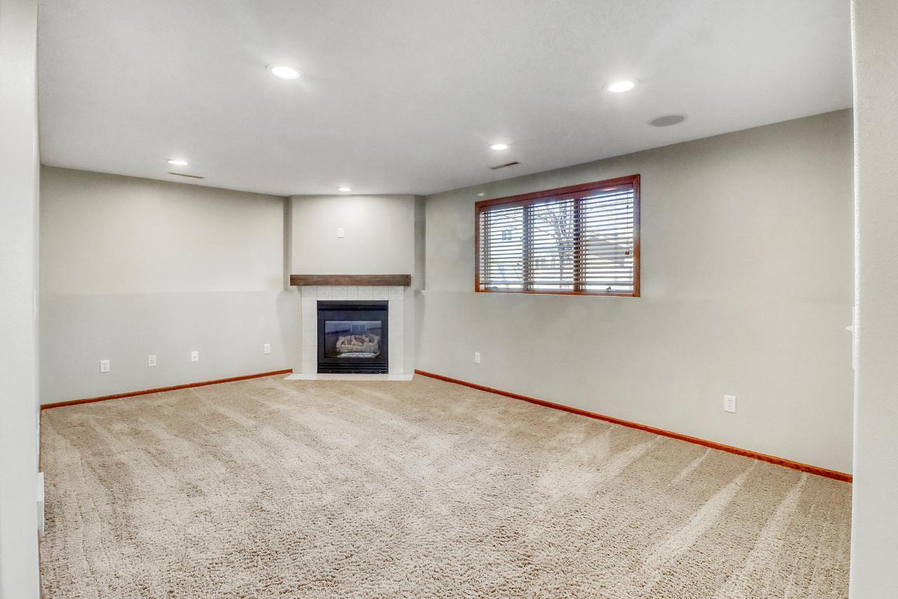 Lower Level Family Room