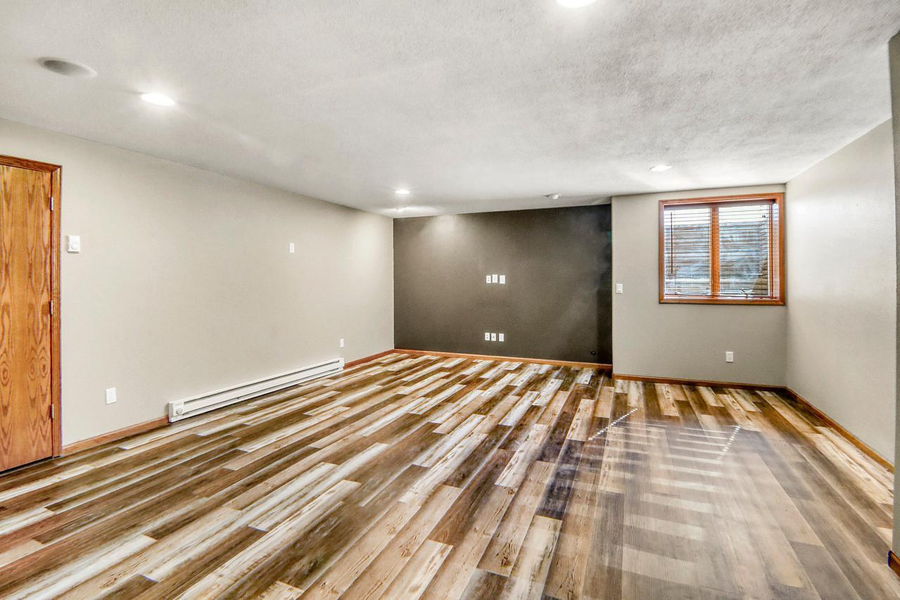 Basement Entertainment Area