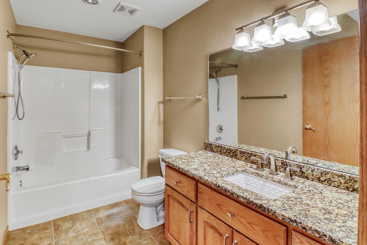 Lower Level Bathroom
