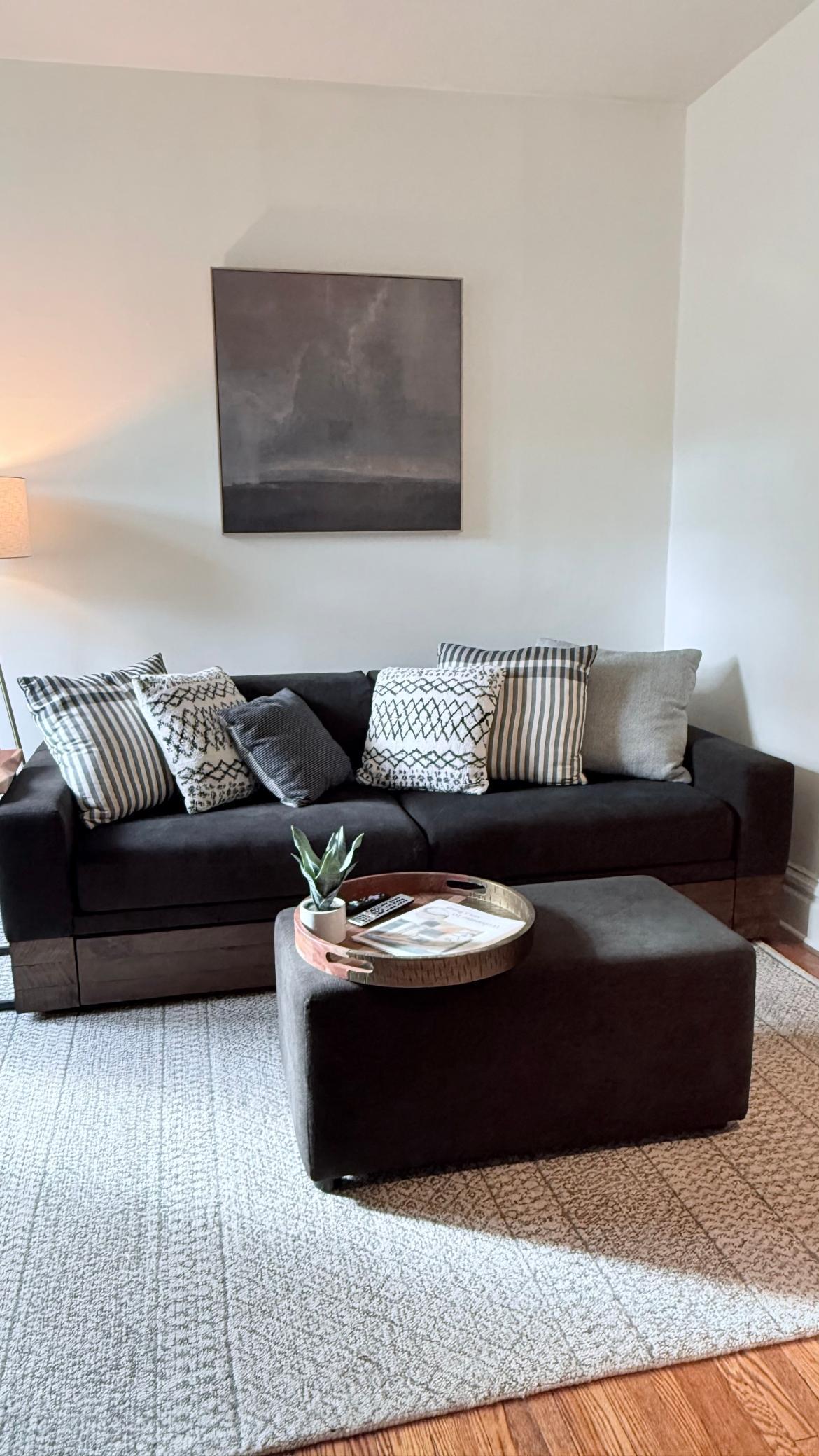 Living room bed pulls out into a couch for additional sleeping space