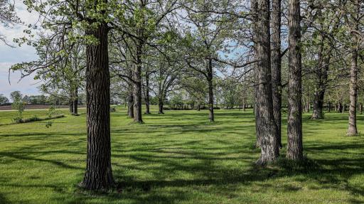 38742 County Highway 19, Bluffton, MN 56518