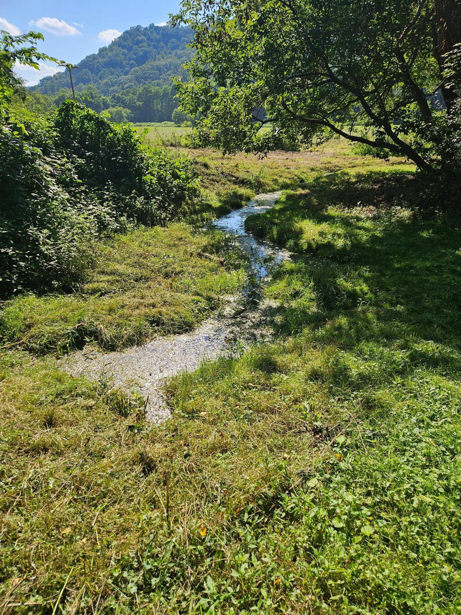 36415 Homer Artisian Spring - Copy.jpg