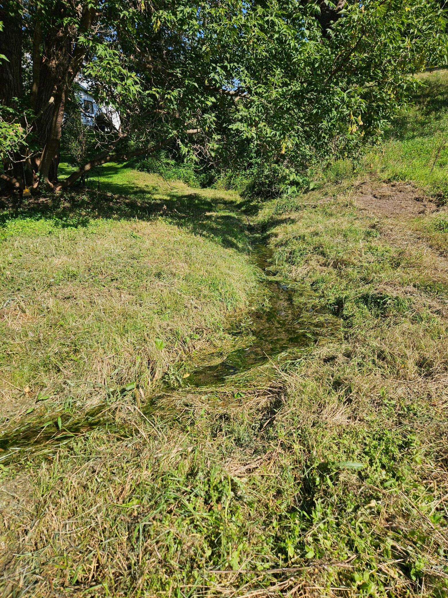 36415 Homer Artisian Spring.jpg2 - Copy.jpg