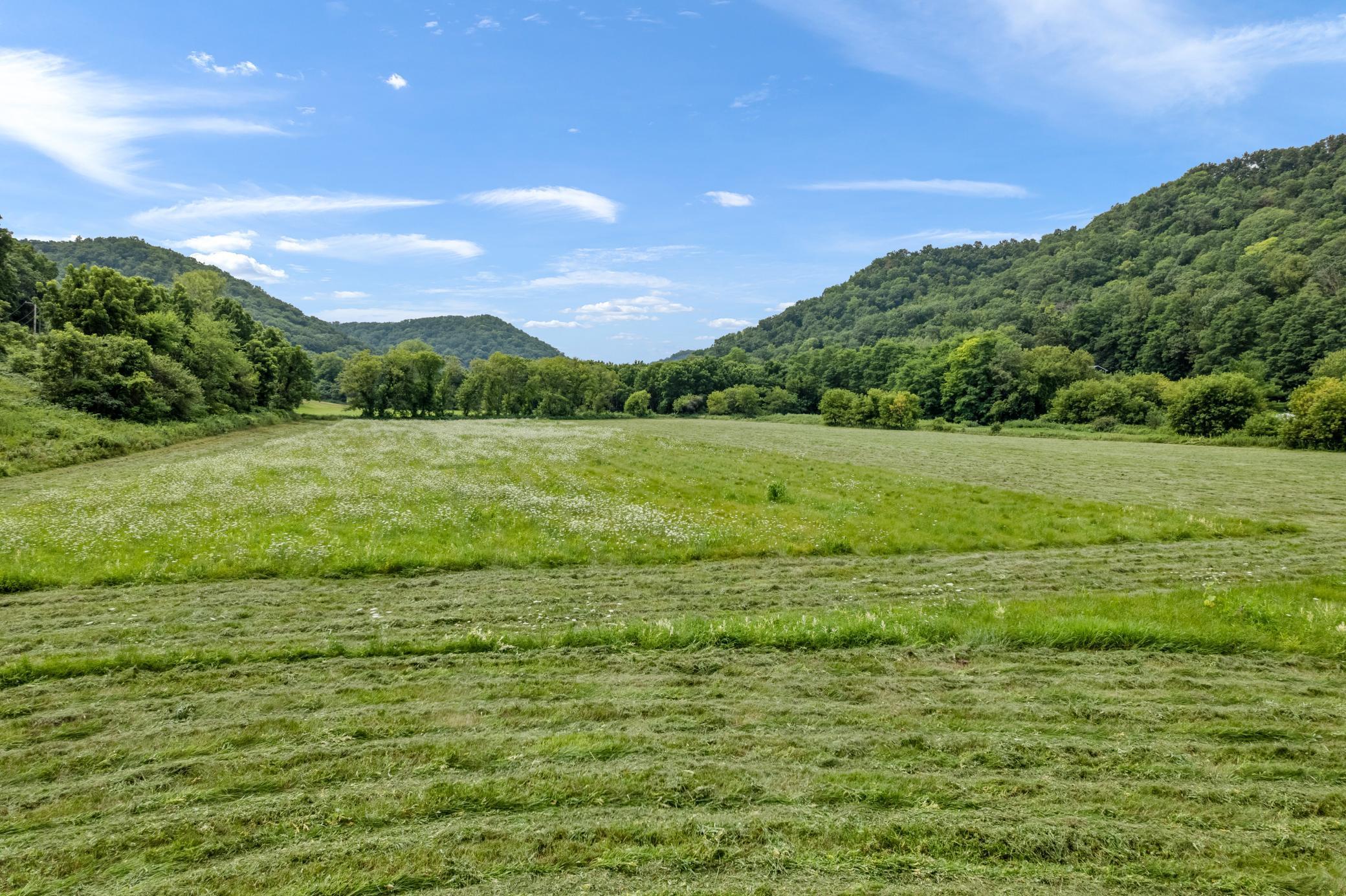 36415 Homer Valley (54) - Copy.jpg