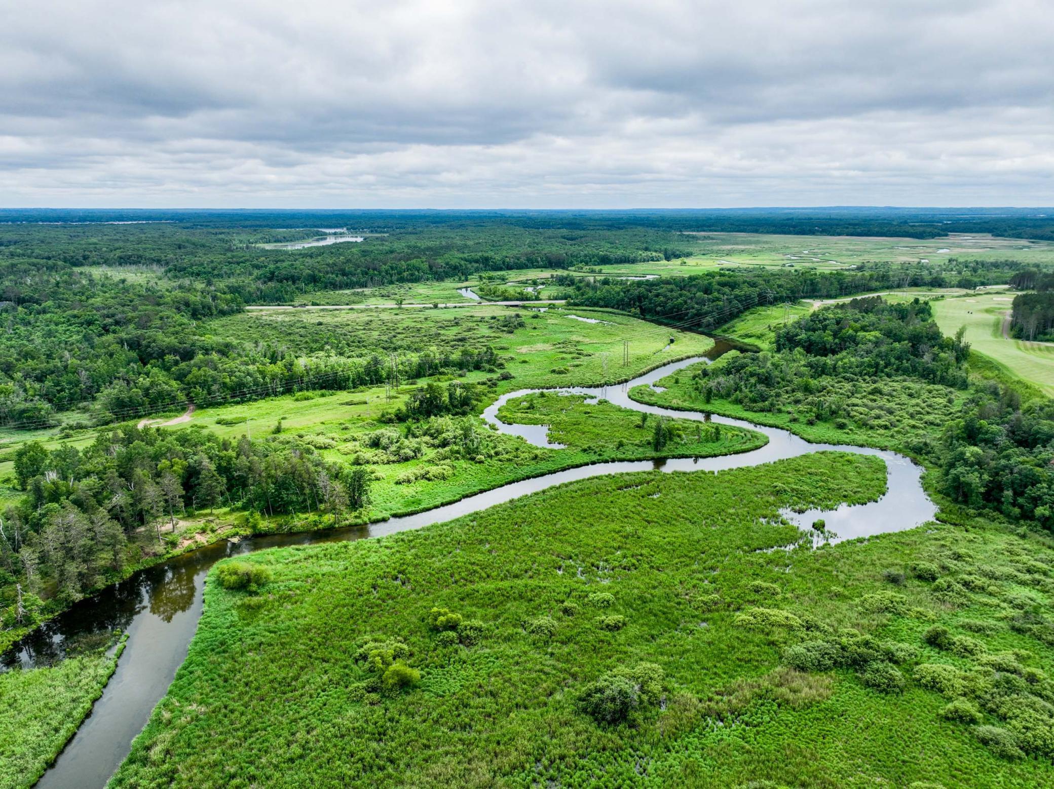 Overhead - Gull River