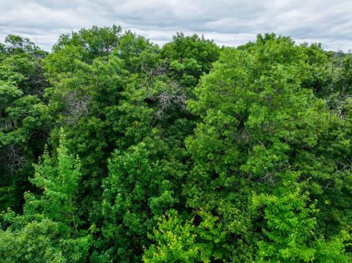 L8B2 Sanctuary Lane, Brainerd, MN 56401