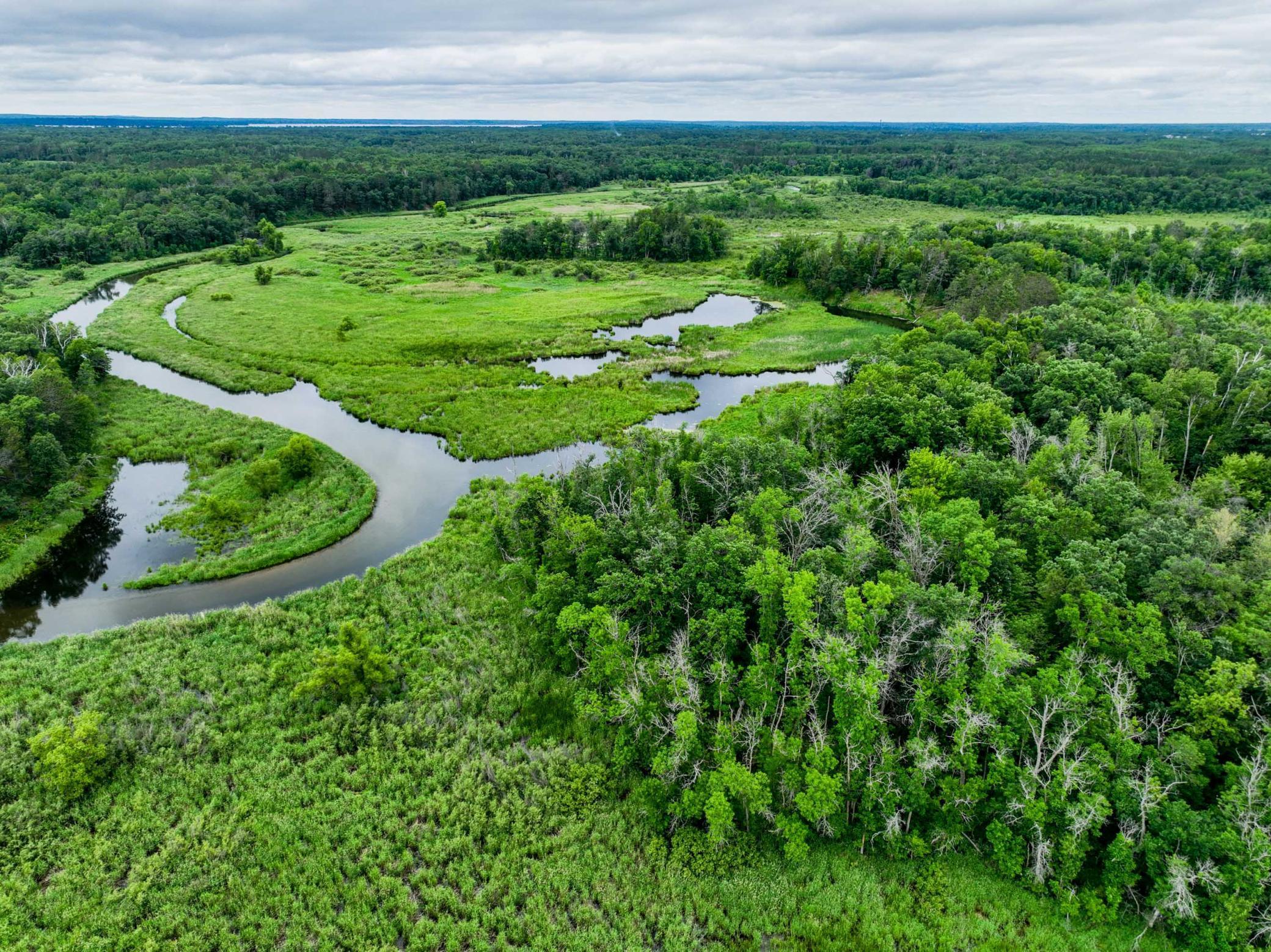 Gull River and Wooded Lot