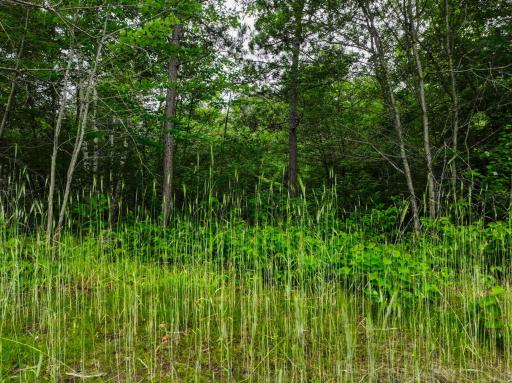 L8B2 Sanctuary Lane, Brainerd, MN 56401