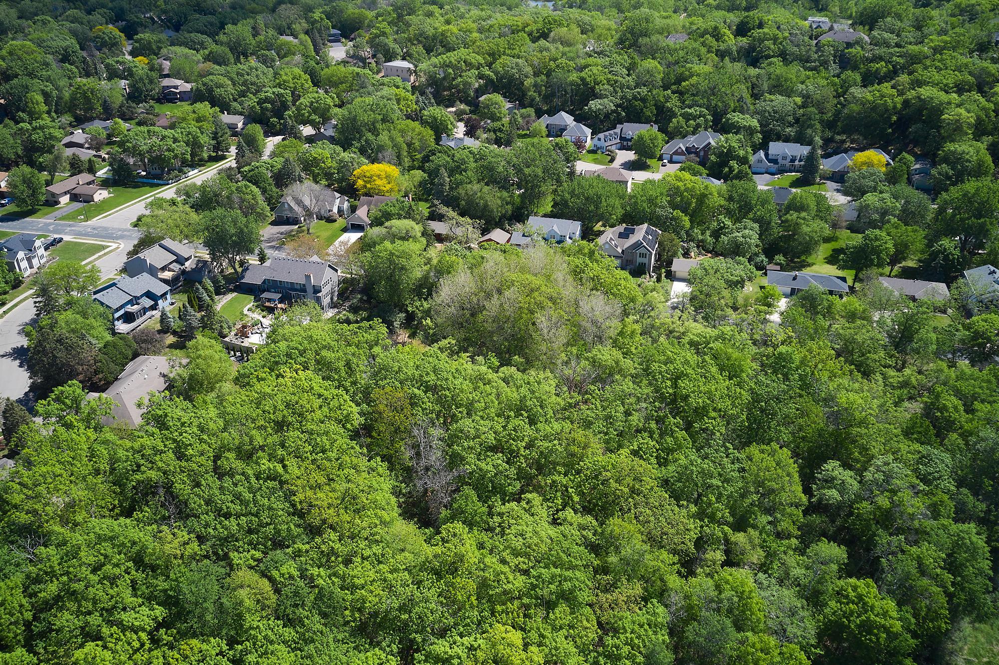 Neighborhood