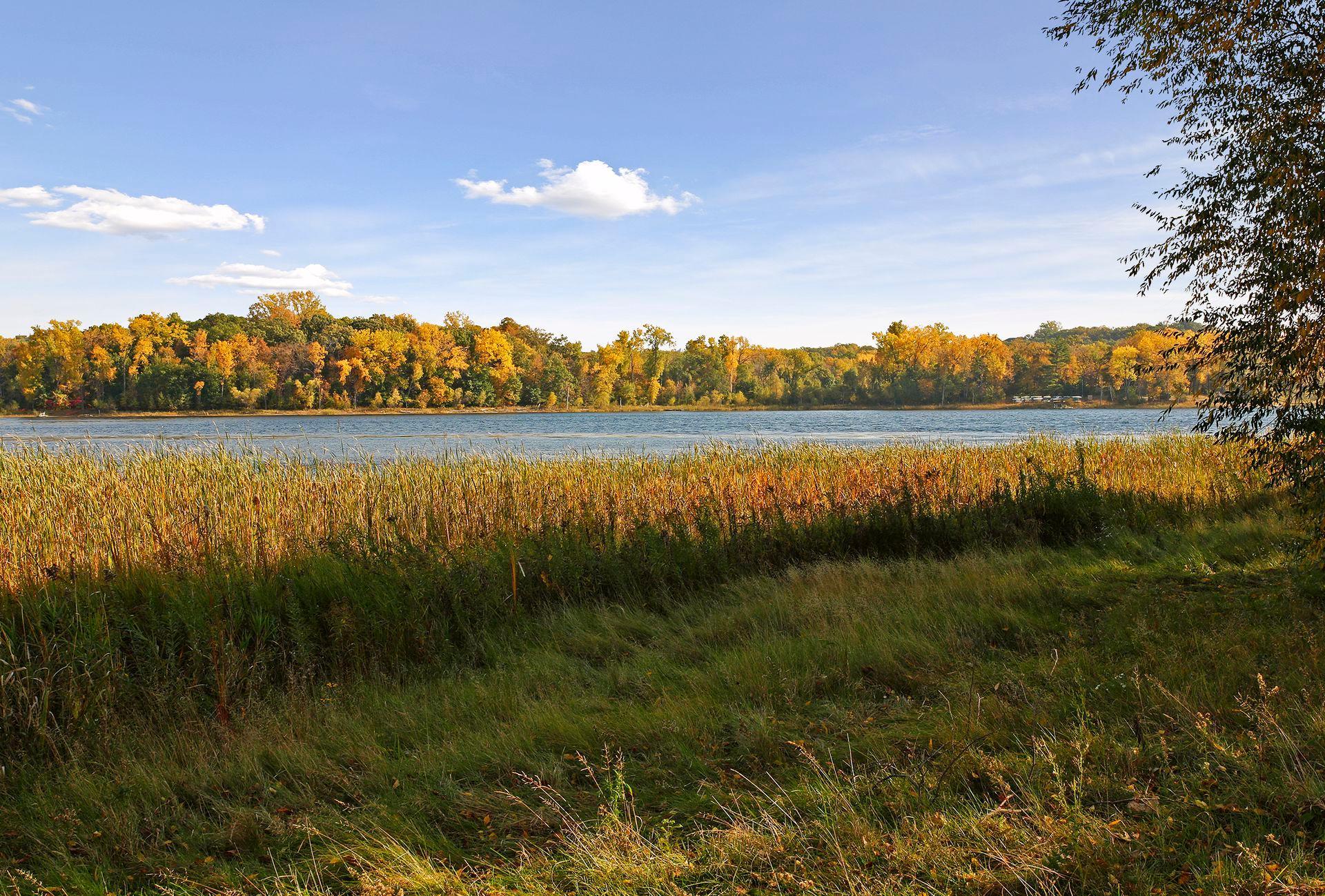 Bush Lake Park