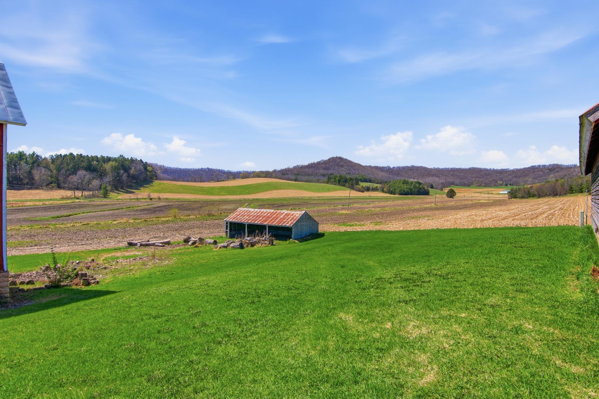 Open Grassy Area & Lean To