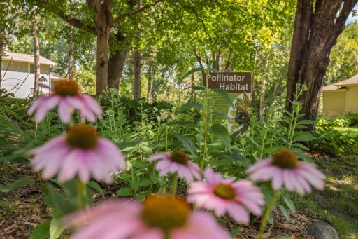 Thoughtful, sustainable landscaping includes pollinator gardens,
