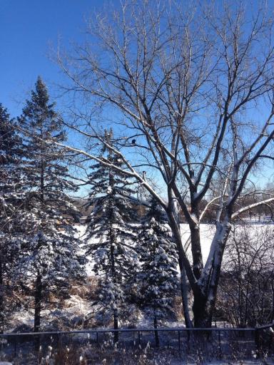 Snyder Lake is a winter playground for skating, snowshoeing and neighborhood hockey!