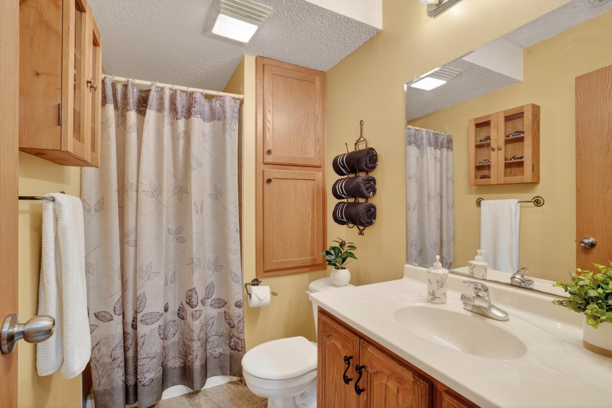 Lower-level bath with updated vanity, storage cabinetry, shower