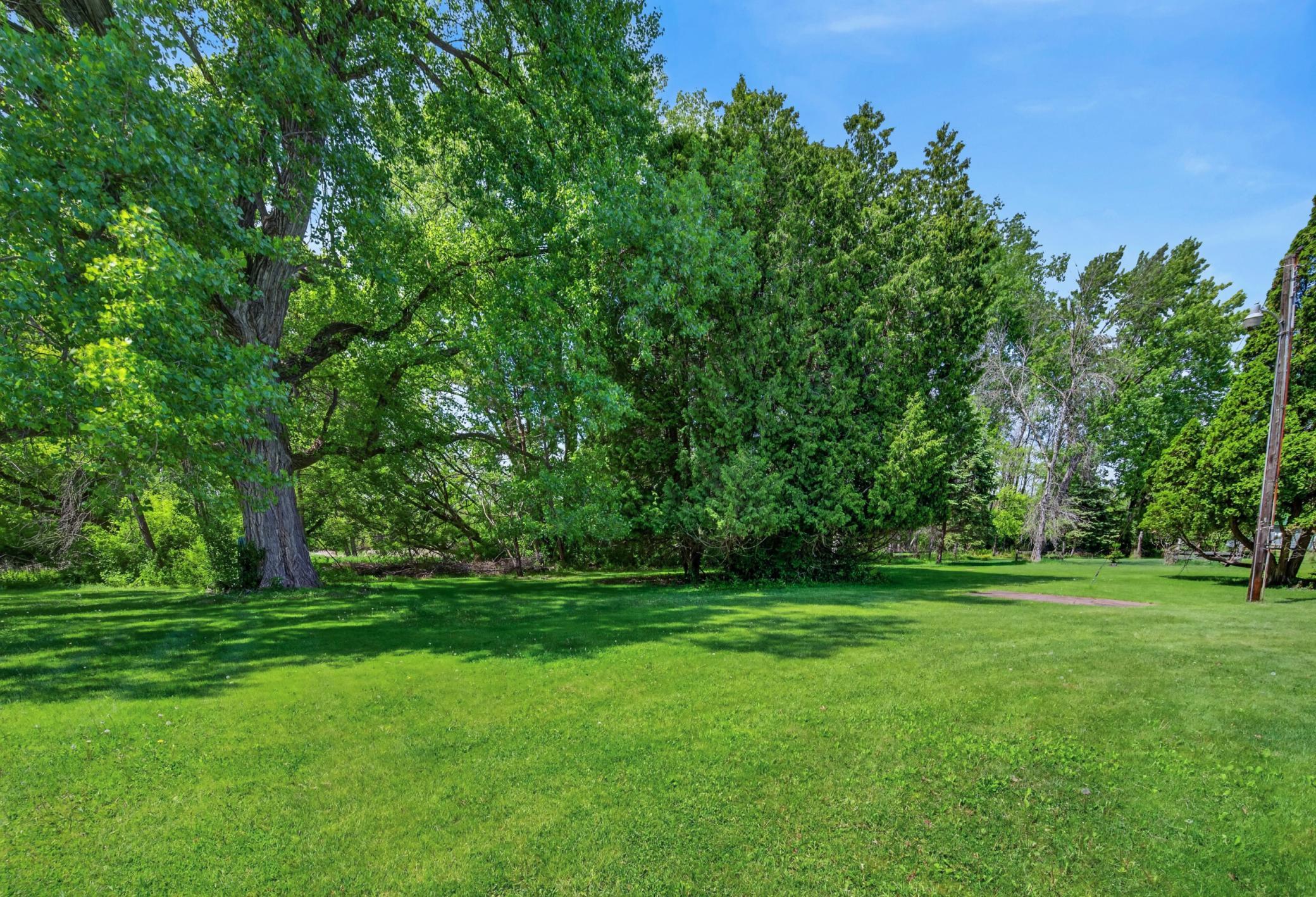 Beautiful backyard