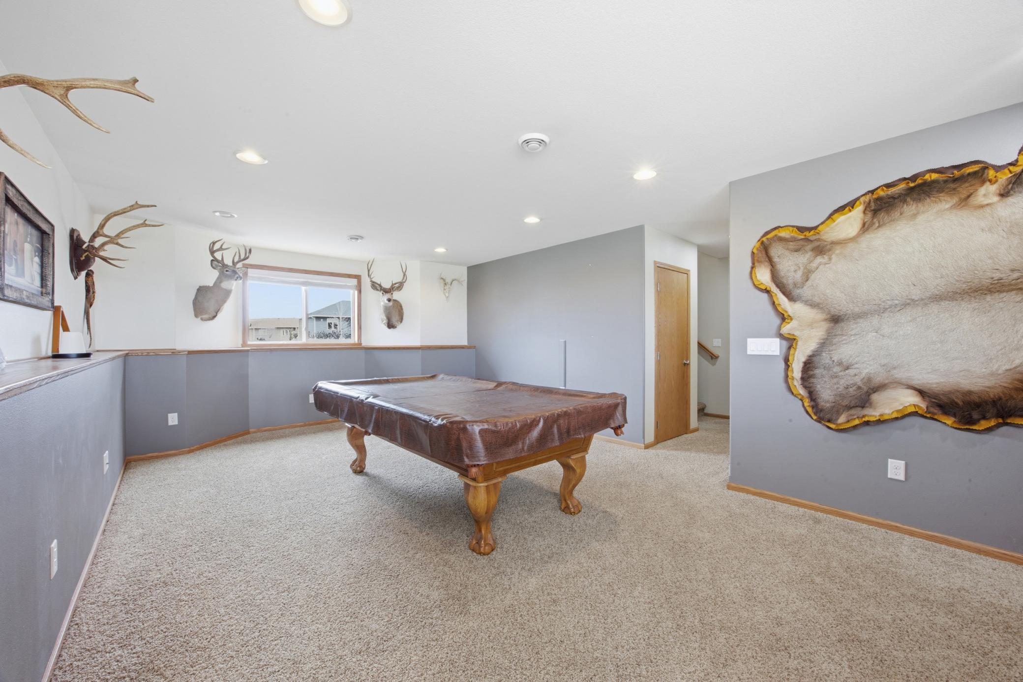 lower level family room