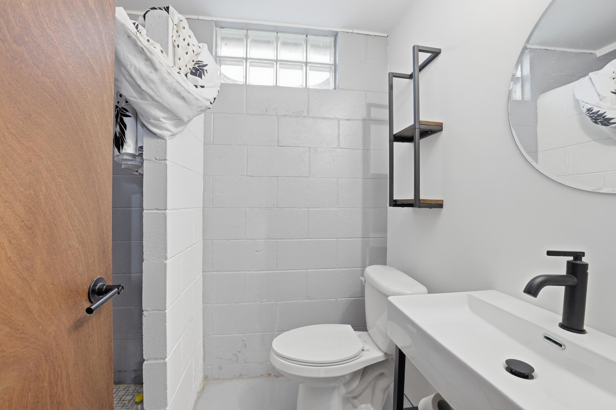 Lower level bathroom