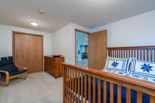 6106 Shamrock Drive, Madison Lake, MN 56063