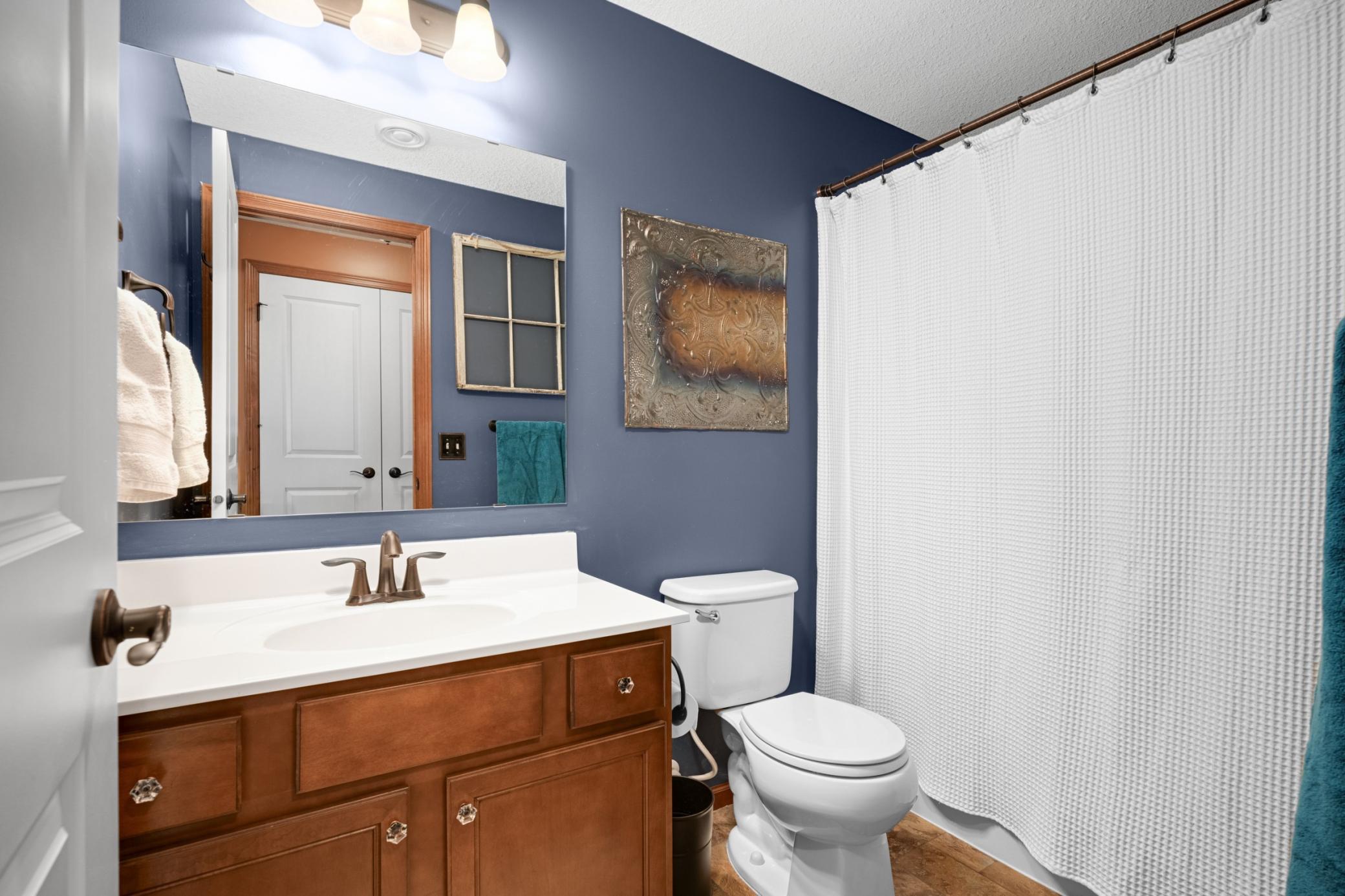 Lower level full bathroom