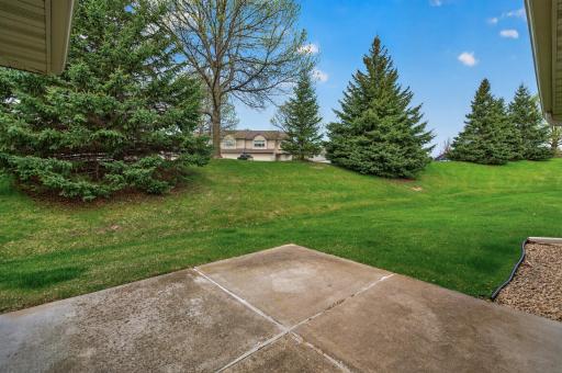 Serene view of the spacious and private backyard